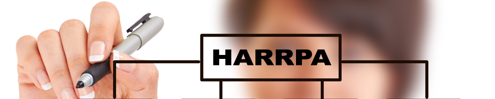 Banner 126