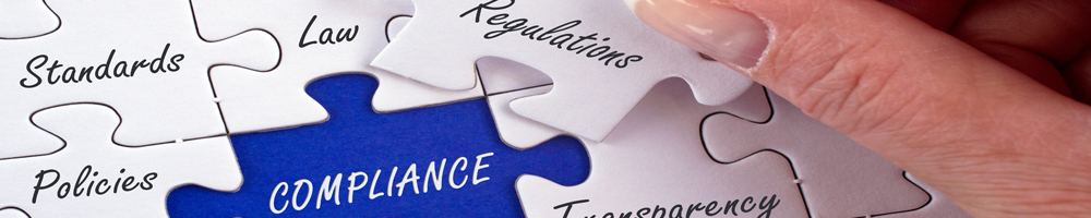 Banner 500